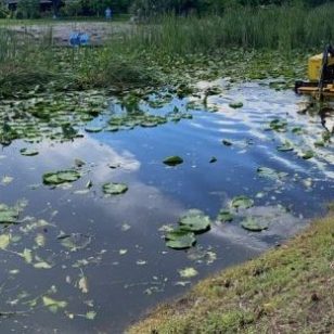 Before-3Weedoo-Weed-Removal-450×450.jpg