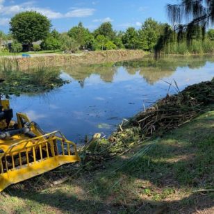 Before3_After-Weedoo-Weed-Removal-450×450.jpg